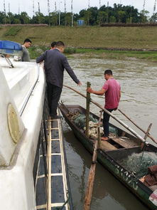 南溪區(qū)開展國慶節(jié)前漁船安全生產(chǎn)專項(xiàng)檢查，確保畜牧漁業(yè)飼料銷售與漁業(yè)生產(chǎn)安全