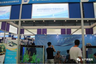 近500家水產(chǎn)產(chǎn)業(yè)鏈企業(yè)齊聚合肥漁博會，現(xiàn)場亮點(diǎn)紛呈，行業(yè)盛事引領(lǐng)產(chǎn)業(yè)新方向